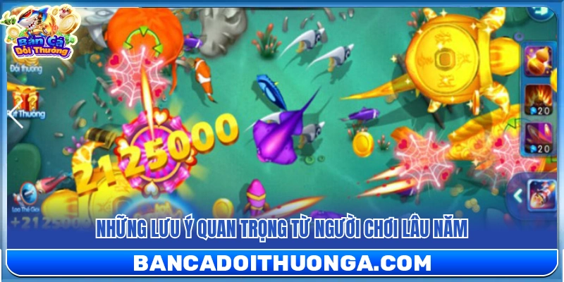 Lời khuyên giá trị từ các cao thủ kỳ cựu