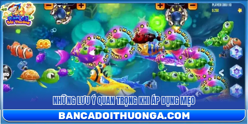 Những điều cần lưu tâm để vận dụng mẹo bắn được nhiều cá