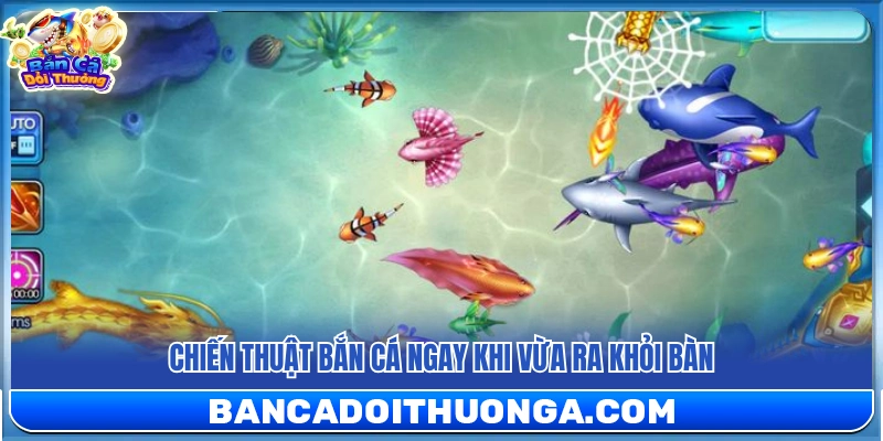 Mẹo chơi bắn cá siêu thị tiêu diệt mục tiêu ngay tại rìa 