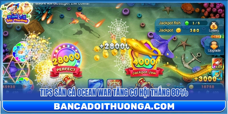Chiến lược săn cá Ocean War giúp nâng cao cơ hội thắng lớn